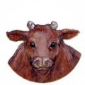 Kolumbus